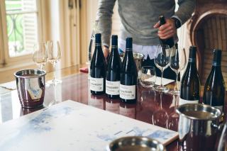 Choisir une cave à vin qui ne trouble ni le sommeil ni la conversation