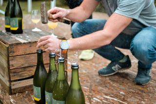 Reprise, déchetterie ou don : que faire d'une vieille cave à vin